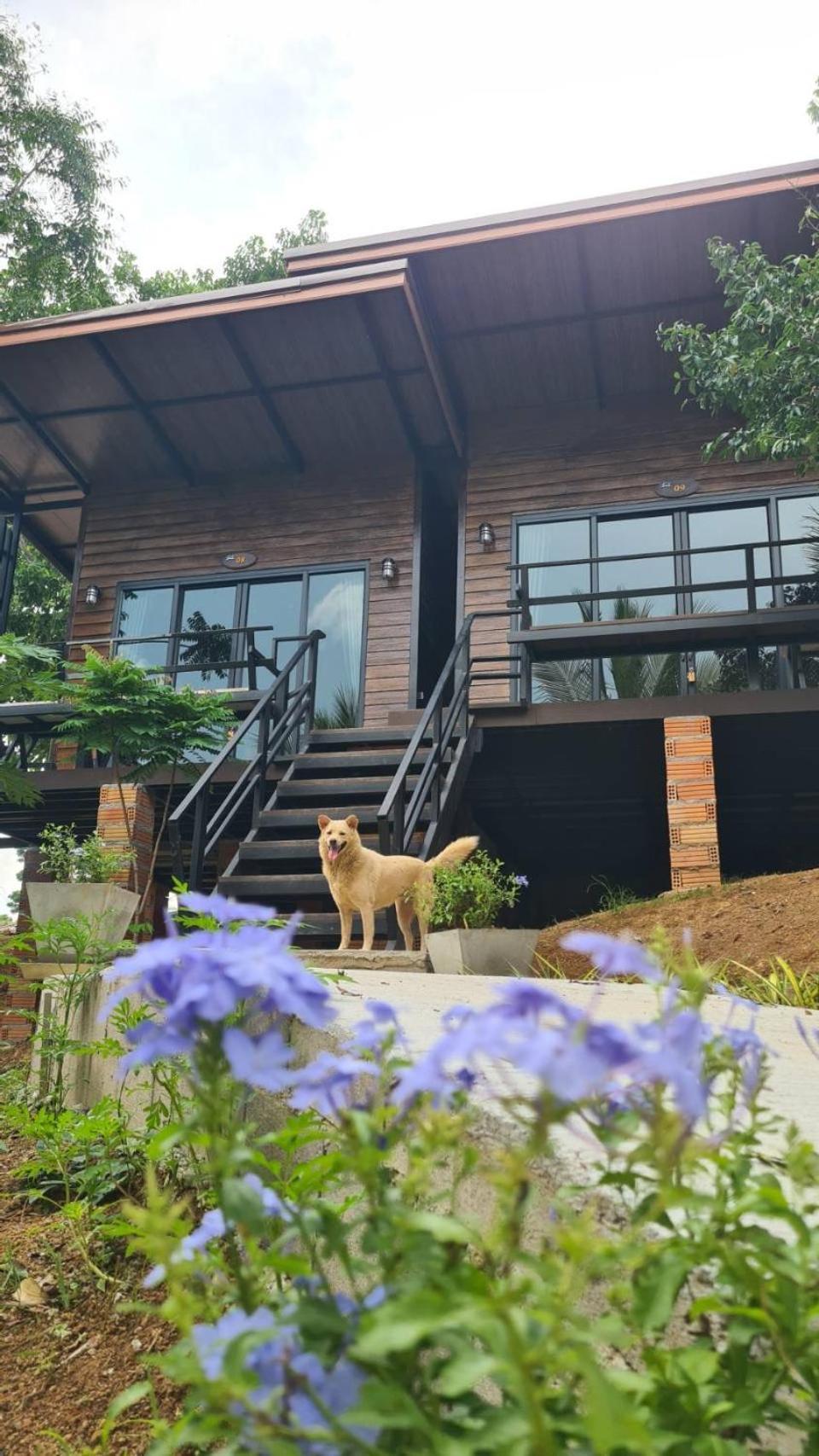 Baan Suan Hill Ban Tha Khun